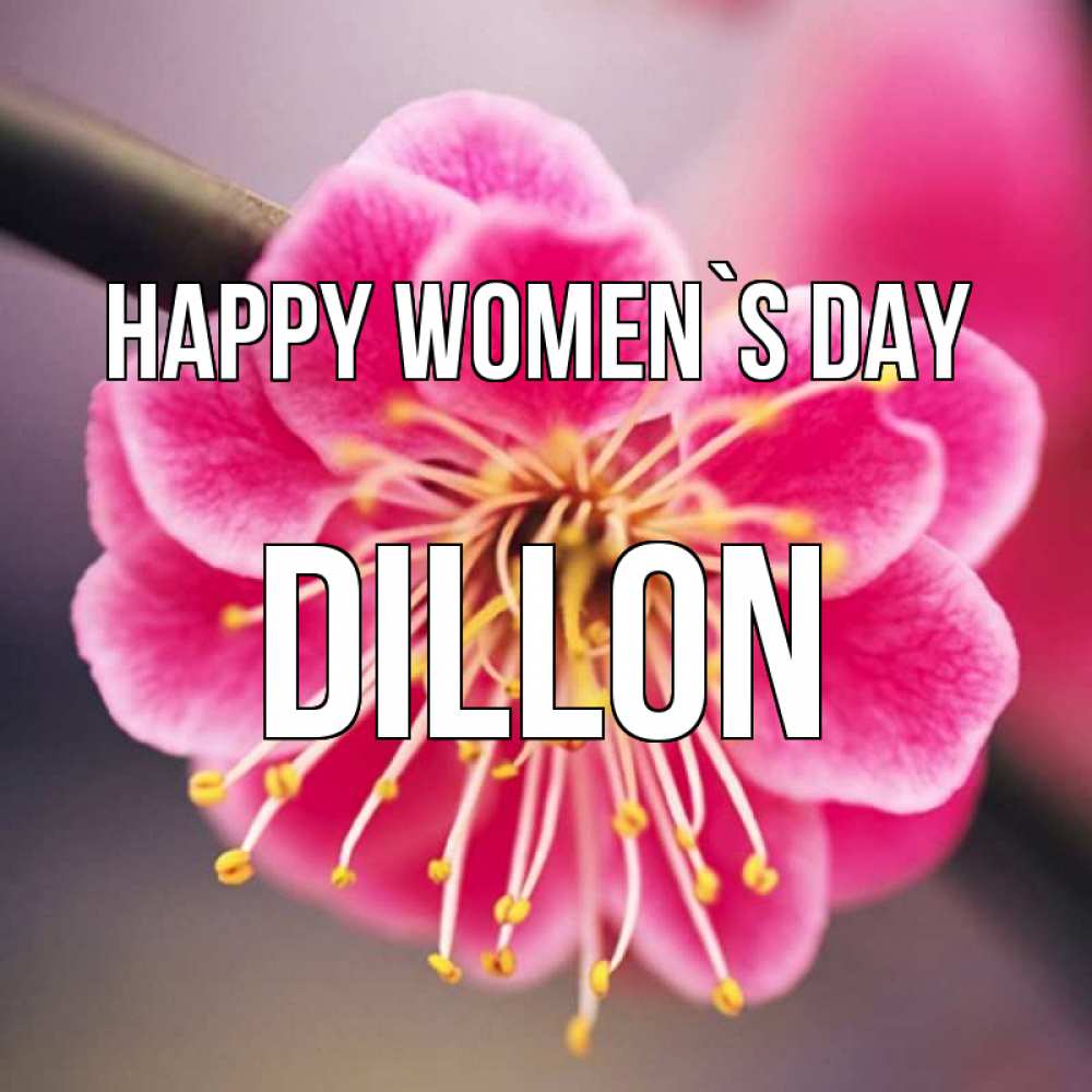 Greetings card с именем, Dillon happy women`s day цветы Greetings with text for free download 